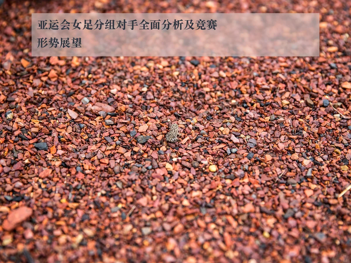 亚运会女足分组对手全面分析及竞赛形势展望